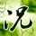 小清新